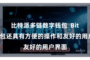 比特派多链数字钱包 Bitpie钱包还具有方便的操作和友好的用户界面