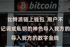 比特派链上钱包 用户不错通过助记词或私钥的神色导入我方的数字金钱