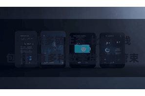 比特派多链生态  比特派钱包还扶直多种数字货币的管束