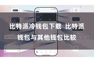 比特派冷钱包下载  比特派钱包与其他钱包比较