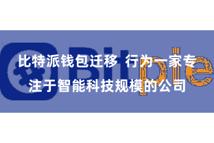 比特派钱包迁移  行为一家专注于智能科技规模的公司