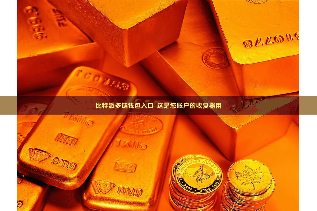 比特派多链钱包入口  这是您账户的收复器用