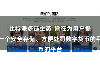 比特派多链生态  旨在为用户提供一个安全存储、方便处罚数字货币的平台