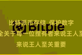 比特派币存储  保护数字金钱安全关于每一位捏有者来说王人至关重要