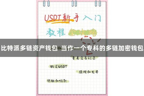 比特派多链资产钱包  当作一个专科的多链加密钱包