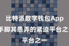 比特派数字钱包App  手脚其愚弄的紧迫平台之一